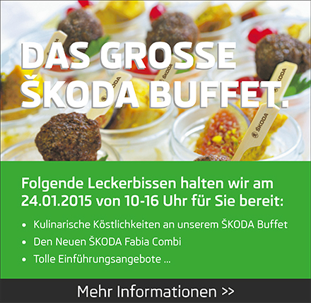 Das grosse Skoda Buffet